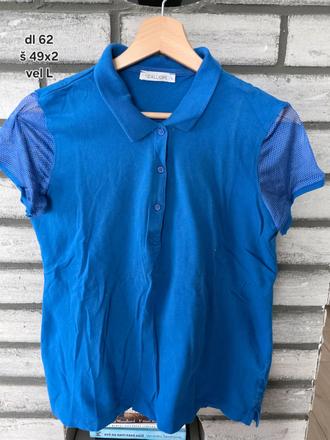 Polokosela modra, calliope,l
