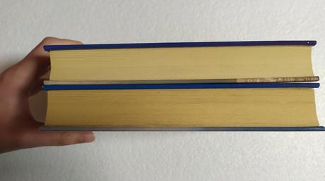 Pirátsky princ, princezná, gaelen foley,