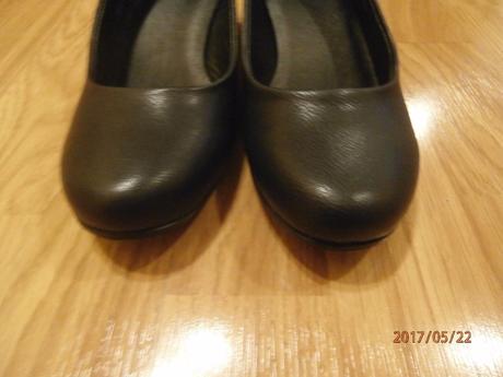 Poltopánky, graceland,36