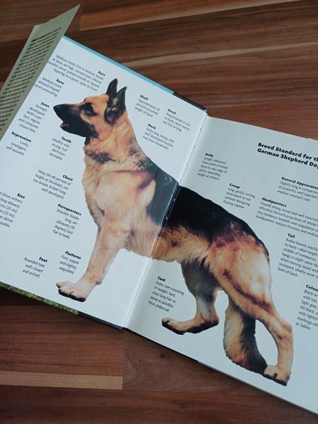 Nové knihy, ceny v texte,