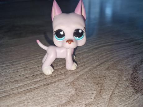 Lps ruzova doga 1022,