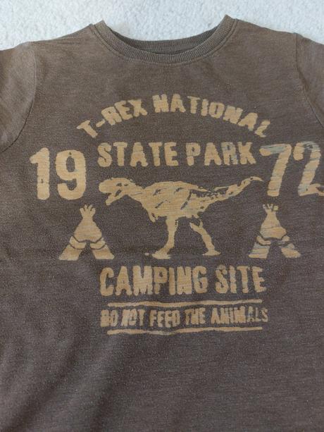 Dino tričko, next,116