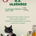zilina