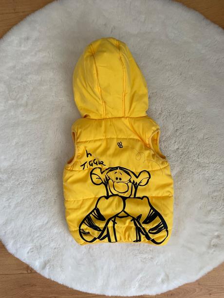 Zateplená vesta, george,92