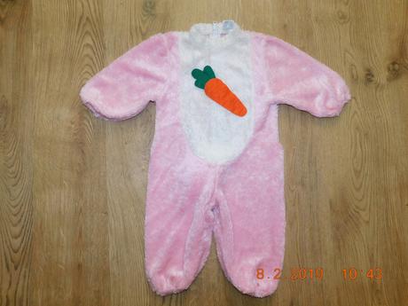 51s. zajačik na karneval 1/2, 