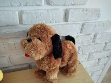 Psik šteká, trošku sa hýbe,