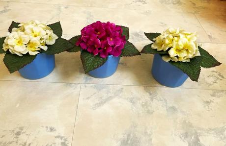 Azalka v keramickom črepe,