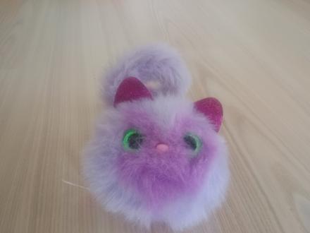 Macka na baterky mnauci a svietia jej oci,