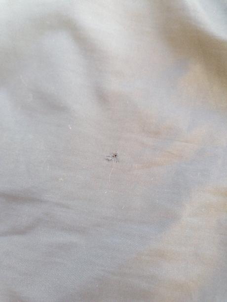 Športové kraťasy, adidas,164