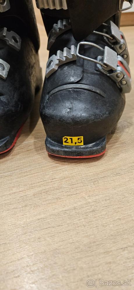 Lyžiarky, 21