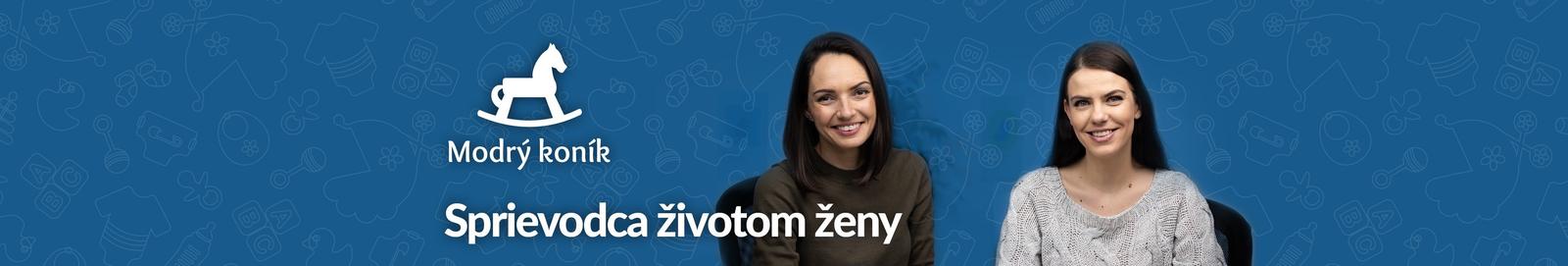 YouTube Modrý koník YouTube Modrý koník