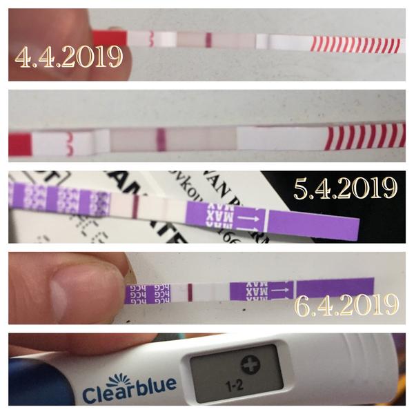 Posledný menzes som mala 1.3.2020. Som tehotná?