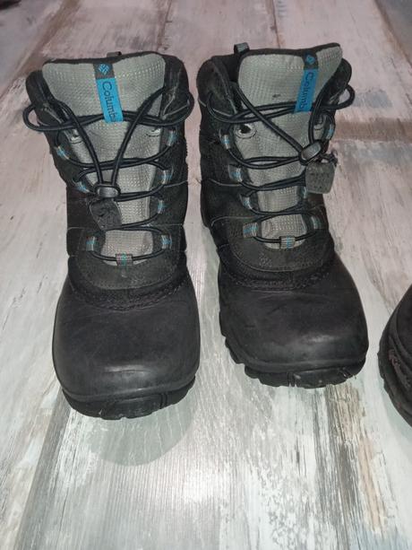 Snehule columbia, columbia