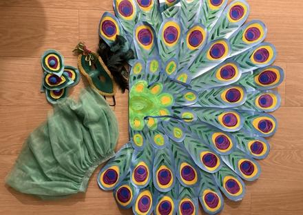 Karnevalova maska-pav,