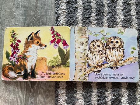 Kamaráti v lese (1992),