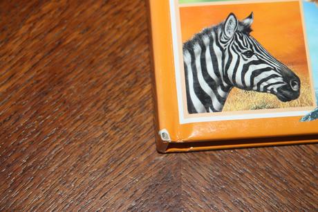 Dein buntes wörterbuch 5 ks, 