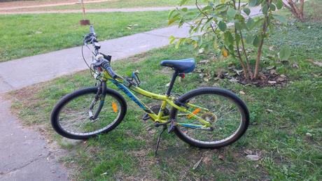 Kellys kitter 30 "24", kellys,24