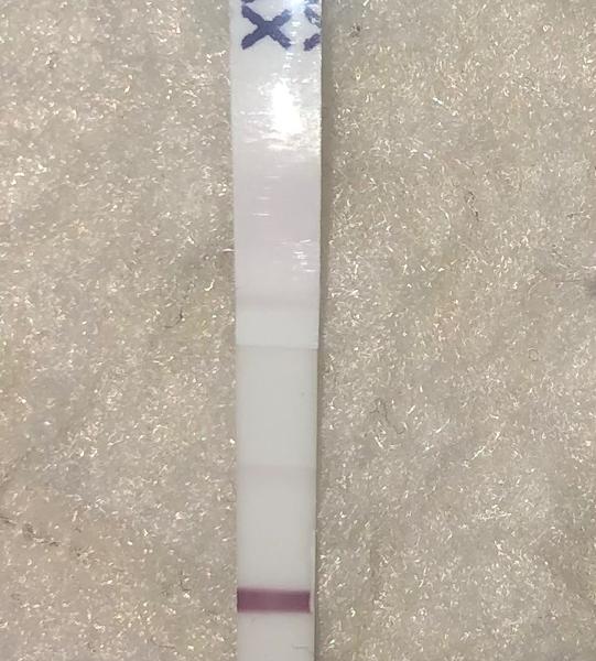 Vidíte tam druhú čiarku?