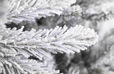 Zasnežený vianočný stromček smrek 250 cm, 