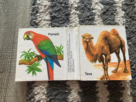 Kde bývajú zvieratká a zoo / leporelá,