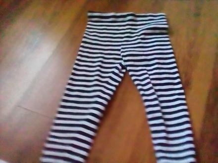 Leginy modry pasik, 92