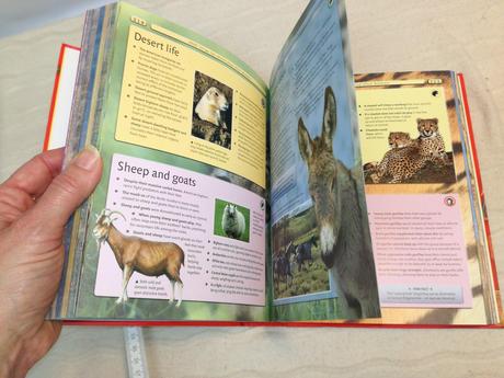 2x 8000 awesome things you should know, 