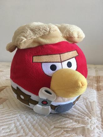 Angry bird,