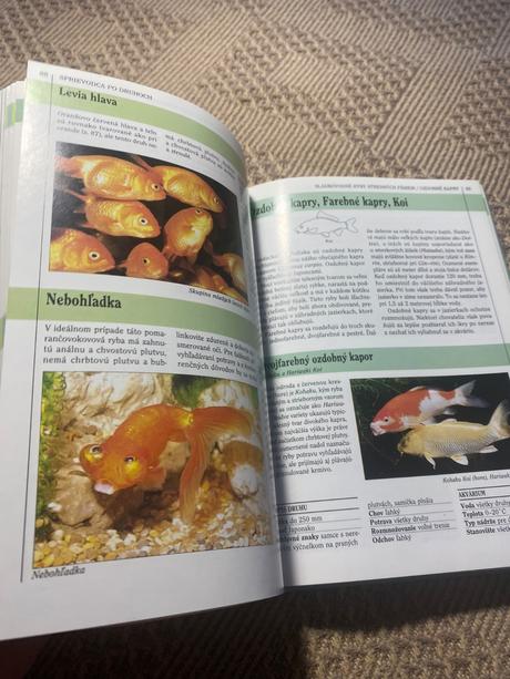 Vaše akvárium dick mills,