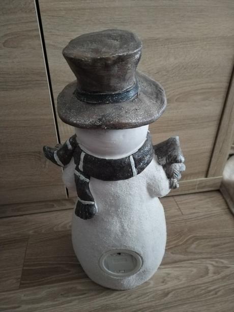 Snehuliak svietiaci,