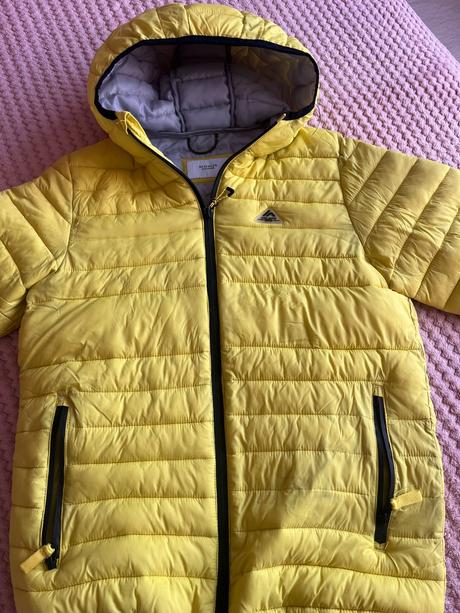 Žltá jarná vetrovka, reserved,164