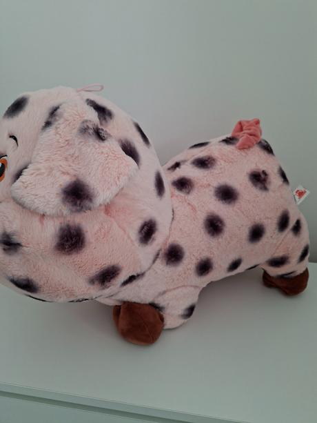 Prasa 60cm,