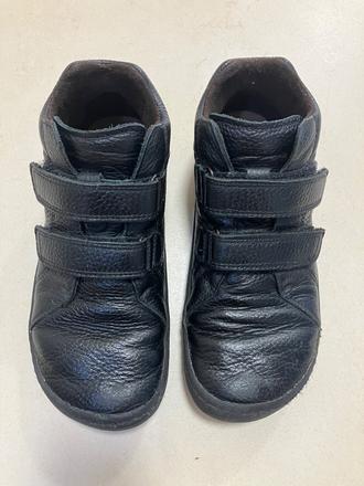 Celoročky frodddo, froddo,33