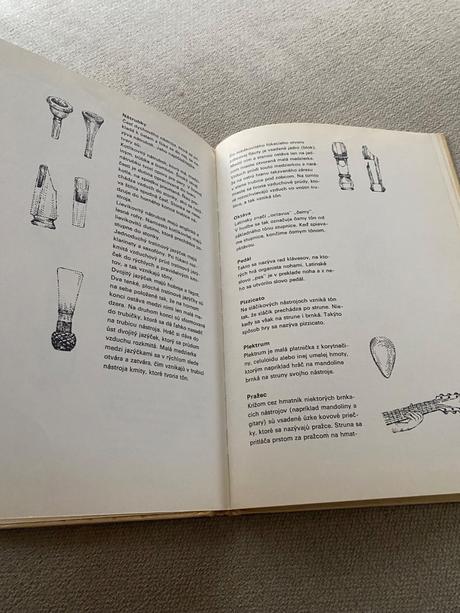 Somár, stará mama a iné hudobné nástroje, 