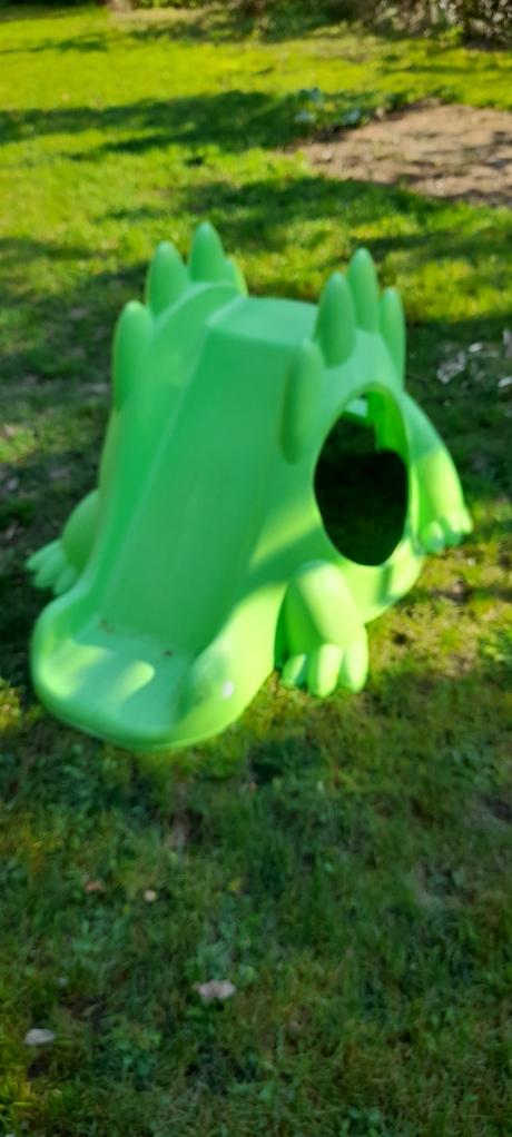 Šmýkalka paradiso dino, 