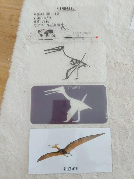 Montessori dinosaury, 