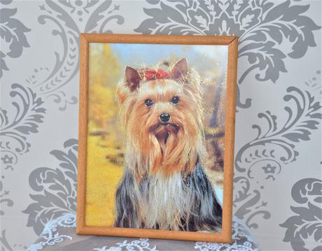 Obraz na stenu-yorkshier,