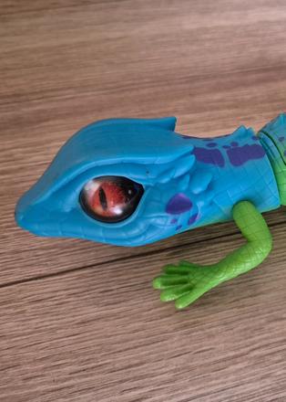 Robo  alive jašterica, 