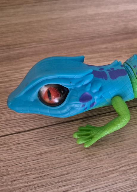 Robo  alive jašterica, 