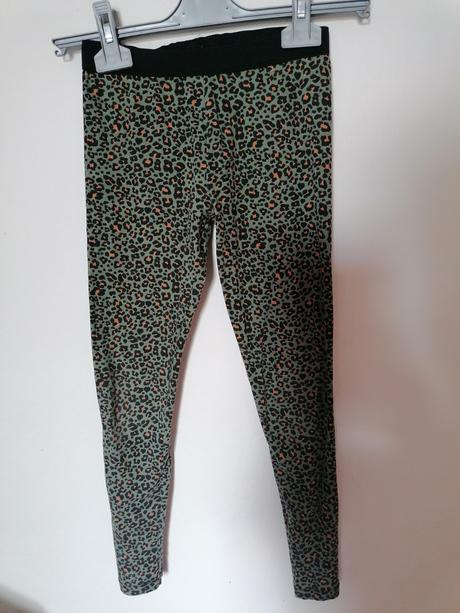 Leo leginy, pepco,134