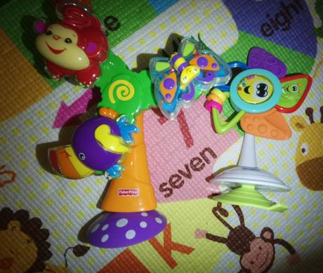 Prísavnikový kolotoč, 