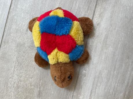 Farebná korytnačka,