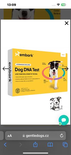 Skúsenosti s DNA testami pre psa?