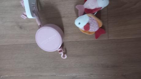 Little dufch kolotoc nad postielku, 