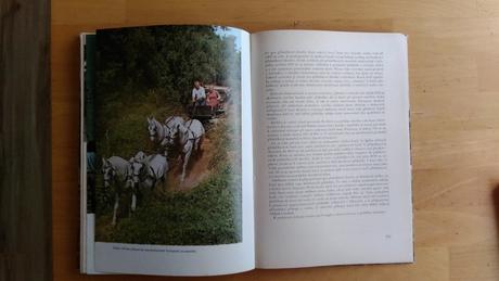 Kniha jezdectví a dostihový sport,