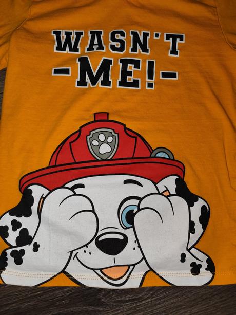 Tričko s marshallom (labková patrola), sinsay,116