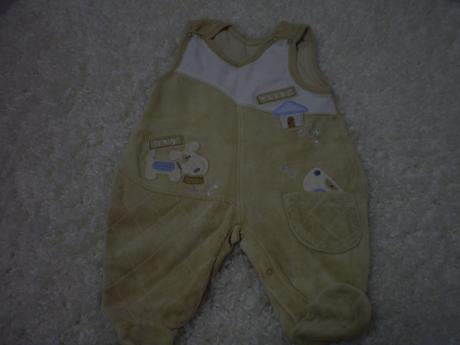 Parkrat nosena dupacka, 62