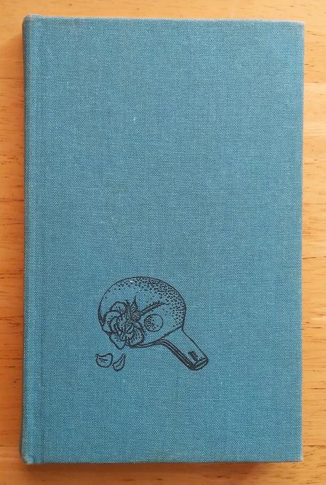 Zabudnutá chuť čokolády, ľudmila romportlová, 