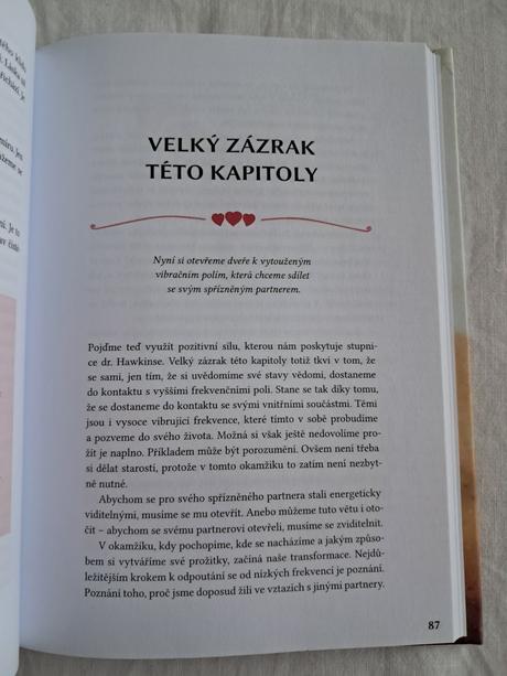 Najdi svou spriznenou dusi, 