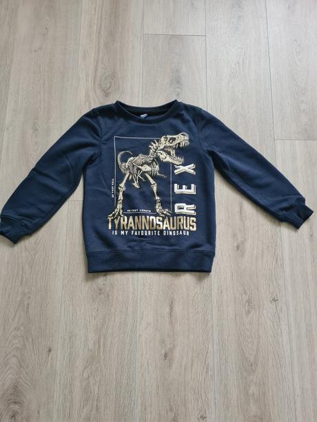 Chlapcenska mikina, 122