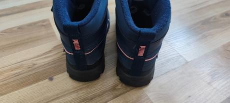 Snehule, puma,35